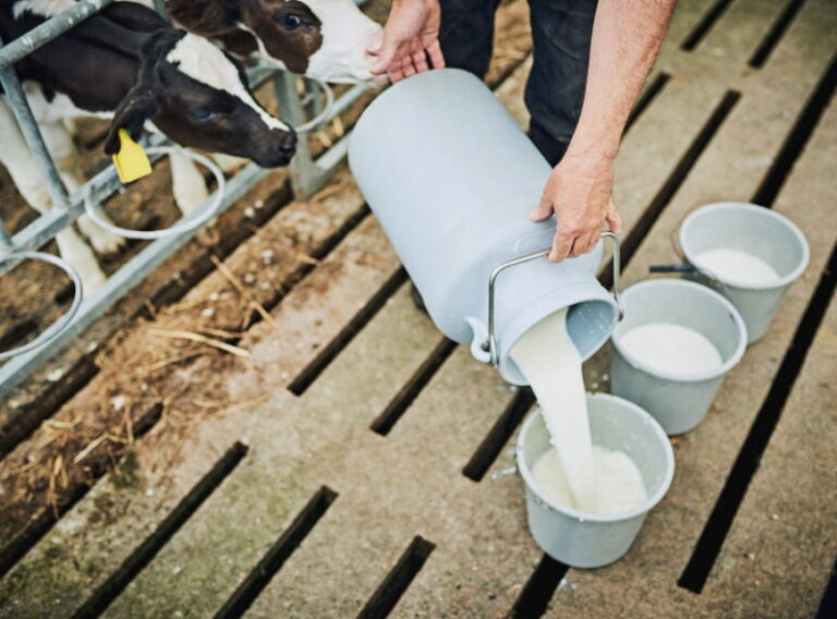 299827 Shutterstock 2515608657 F