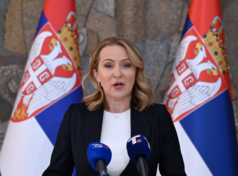 363358 Cerv Berisa Paunovic F