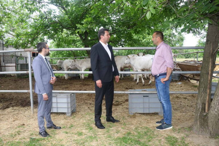 441306927 1011404830991435 21640224087732525 N