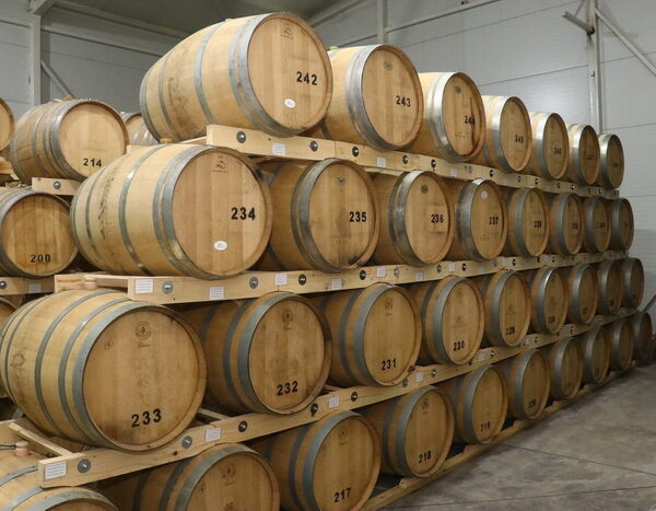 465641836 1140307188101198 2707514349307667379 N