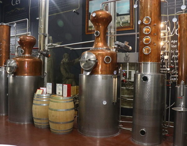 465783863 1140307044767879 2537269868770841129 N