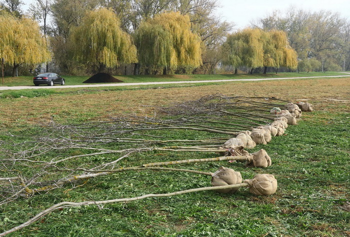 467438535 1152279523570631 6021462906263780836 N