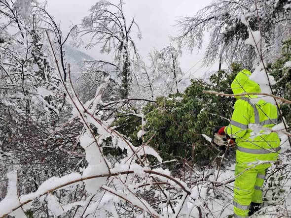 612931086 4373237703000714 7693842268140318077 N