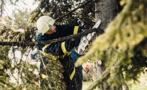 615460227 1312396904264661 5879857596635657070 N