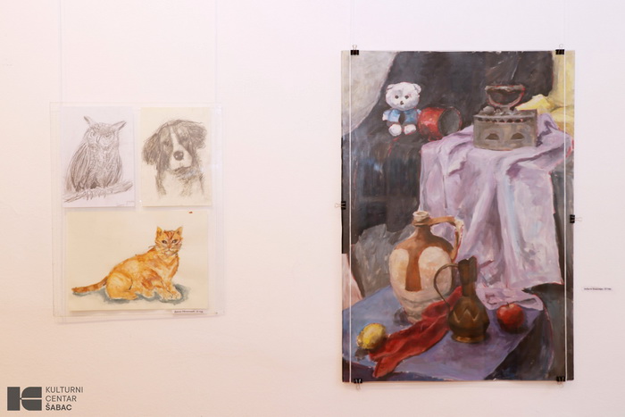 622784833 877060915218254 6616950391654536313 N