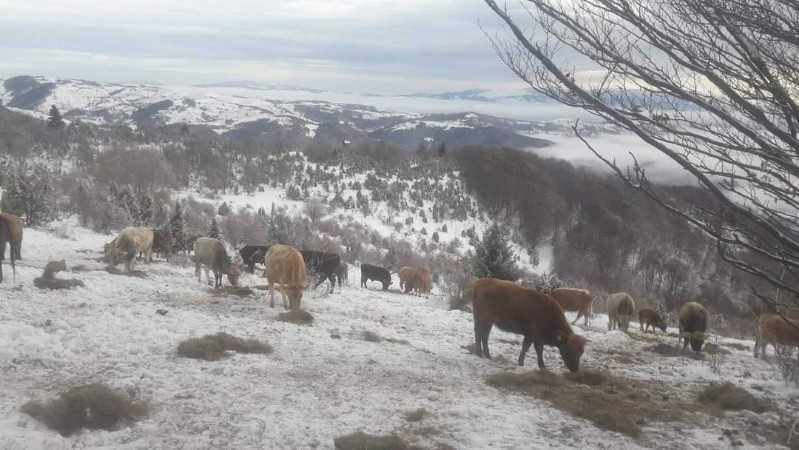 Fb Img 1702212547663 Copy 800x450