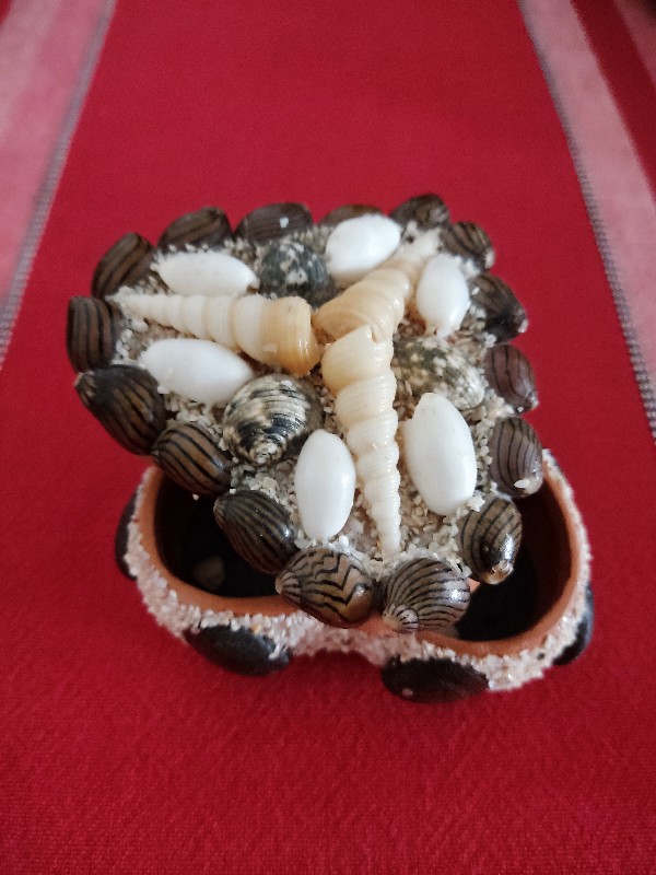 Img 20230903 141113 Copy 600x800