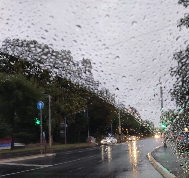 Img 20231015 172343 Copy 800x753