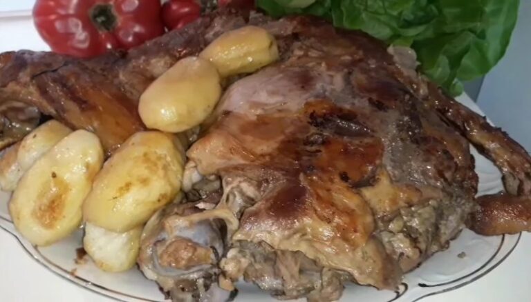 Img 20231105 094713 Copy 800x456