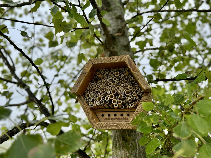 Šabac Dobio Urbani Vrt U Okviru Projekta Niklo Kao Ja 3