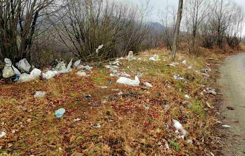 Snapinsta.app 433517724 3390138231285357 7388356729584346894 N 1080