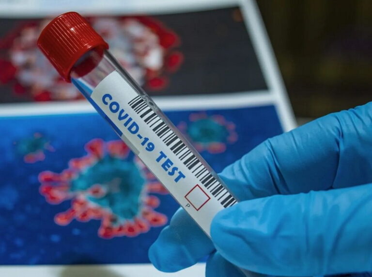 Snapinsta.app 454304138 857195885855162 5145269706319492490 N 1080