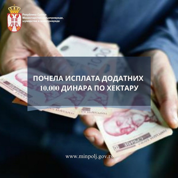 Snapinsta.app 464861754 18000434249691437 6005988011831231013 N 1080