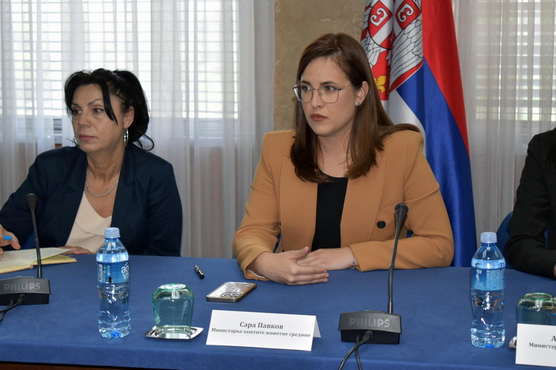 Sara Pavkov