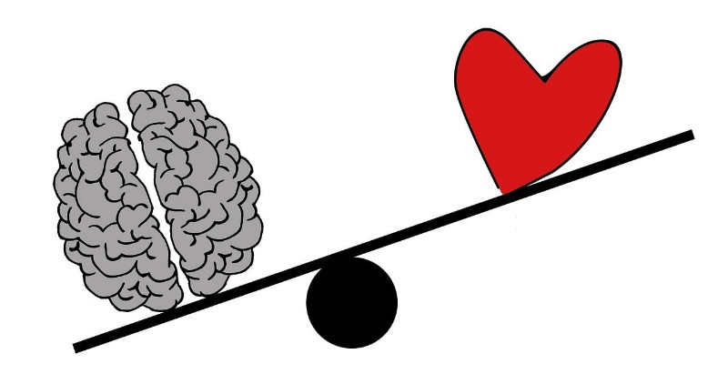 Brain 2146167 1280 Copy 800x411 1