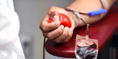 Dobrovoljno Davanje Krvi