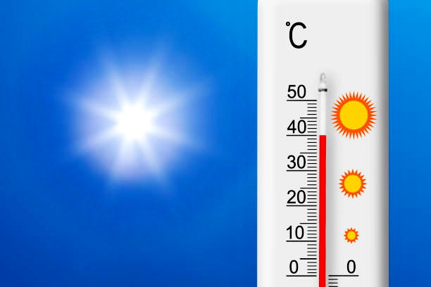 Istockphoto 1409627590 612x612