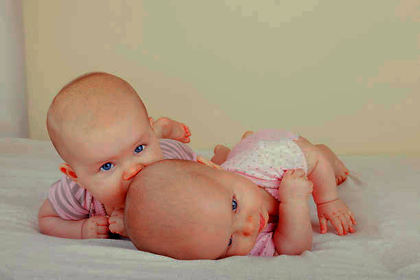 Istockphoto 177002582 612x612