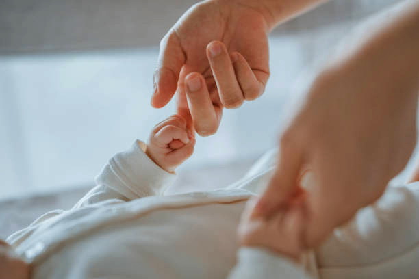 Istockphoto 2161207182 612x612