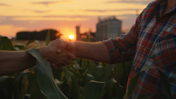 Istockphoto 2174756156 612x612