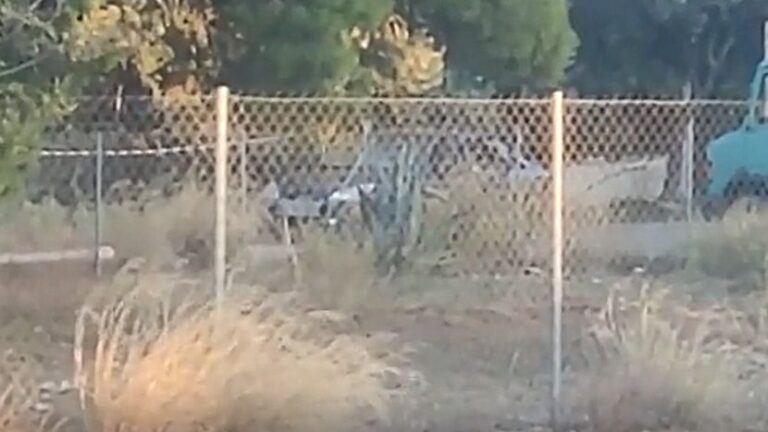 Pucnjava Grcka Kola 830x0